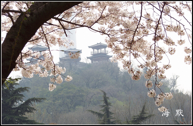 20110331f紨ӣ (42).jpg