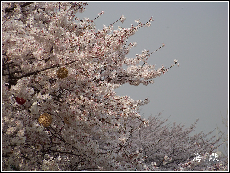 20110331f紨ӣ (27).jpg