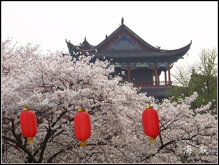 20110331f紨ӣ (57).jpg