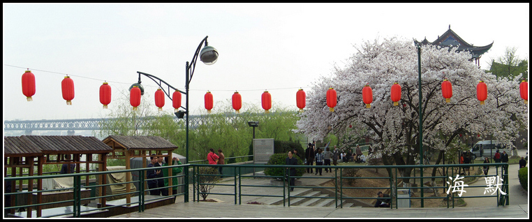 20110331f紨ӣ (60).jpg