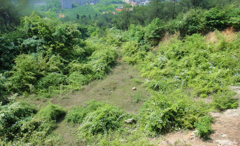 dsc07507.jpg