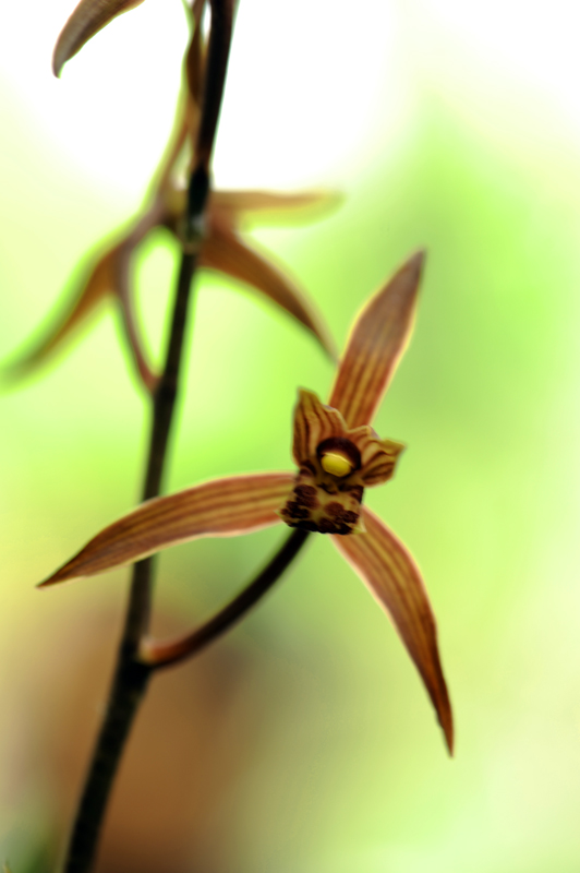dsc_5976a.jpg