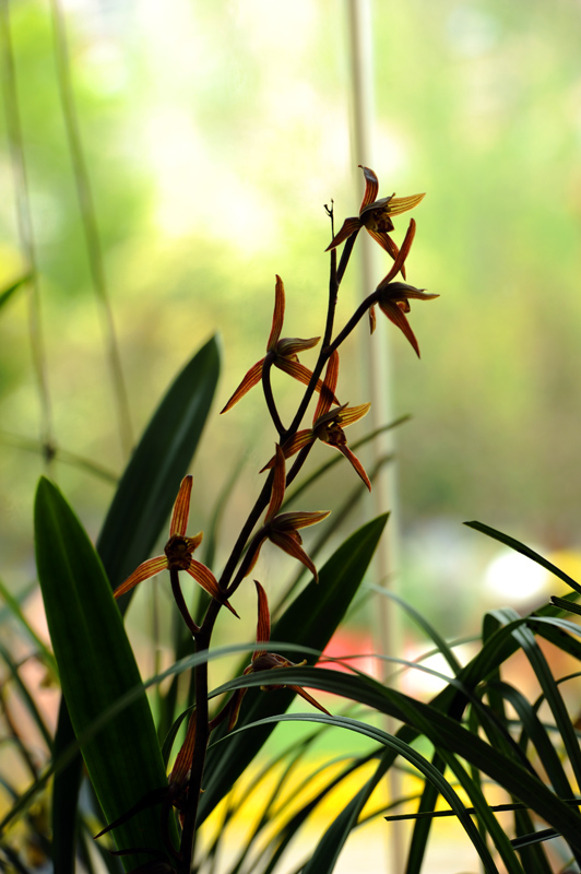 dsc_6027a.jpg