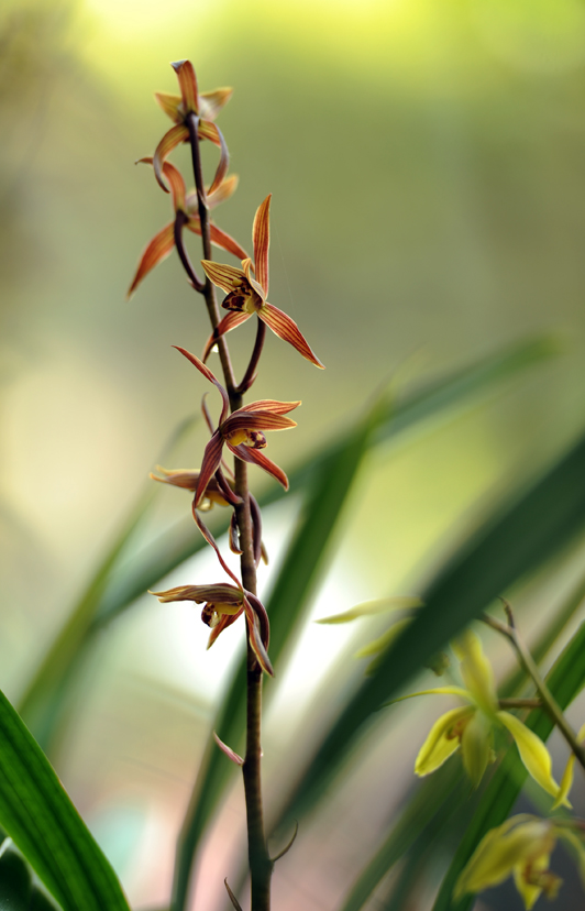 dsc_6029a.jpg