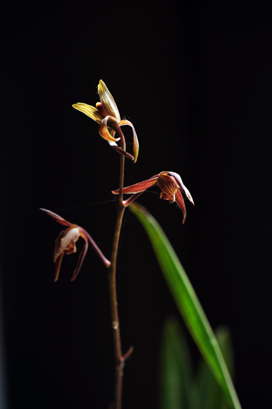  dsc_5899a.jpg