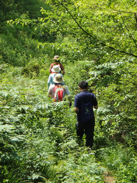 dsc07531.jpg