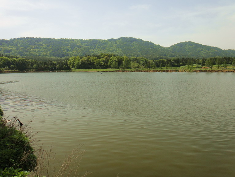 dsc07524.jpg