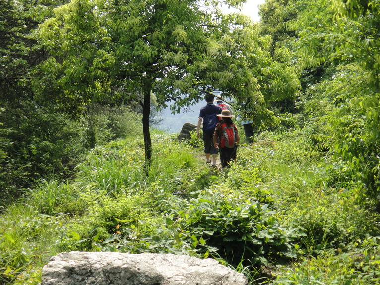 dsc07514.jpg