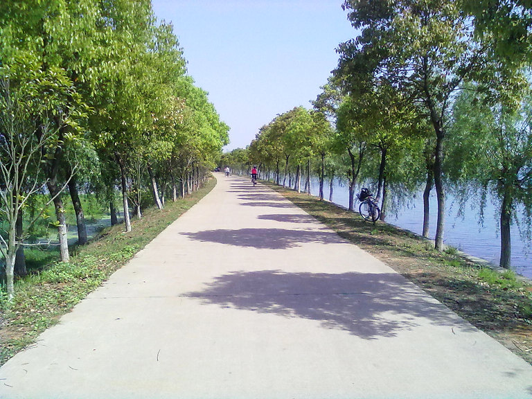 20110419397.jpg