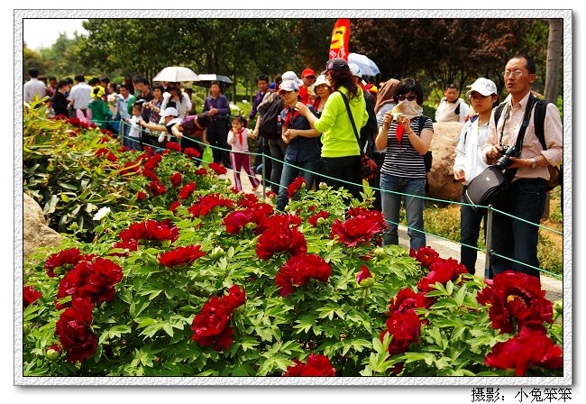 imgp3574.jpg