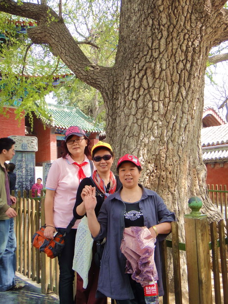 dsc07333.jpg