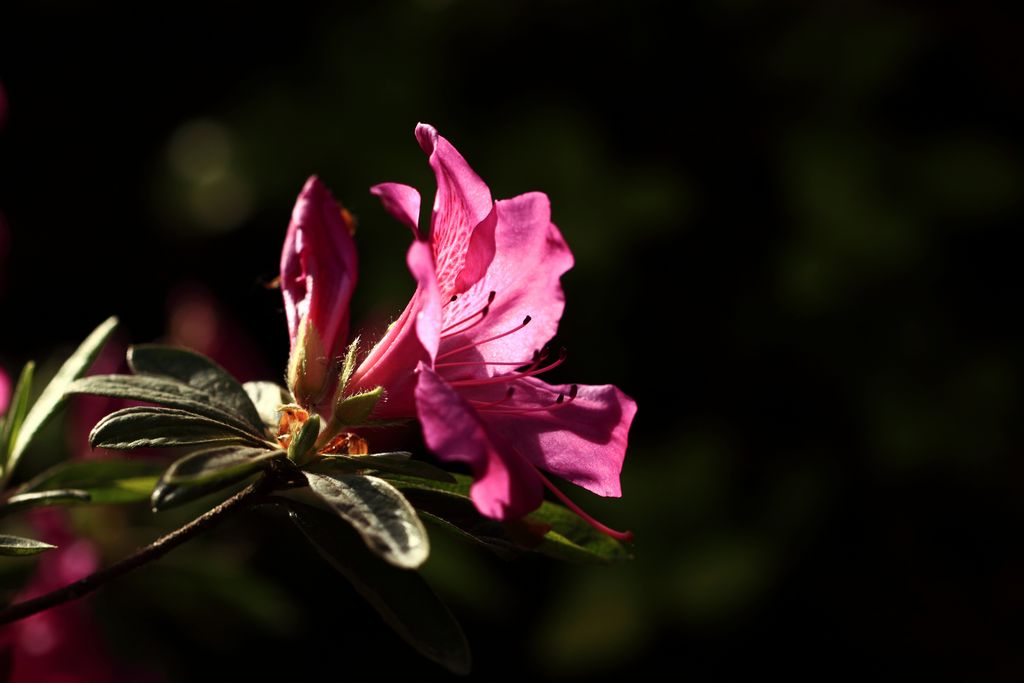 img_2874.jpg