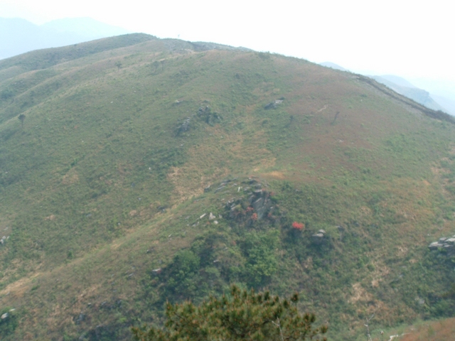 dscf0082.jpg