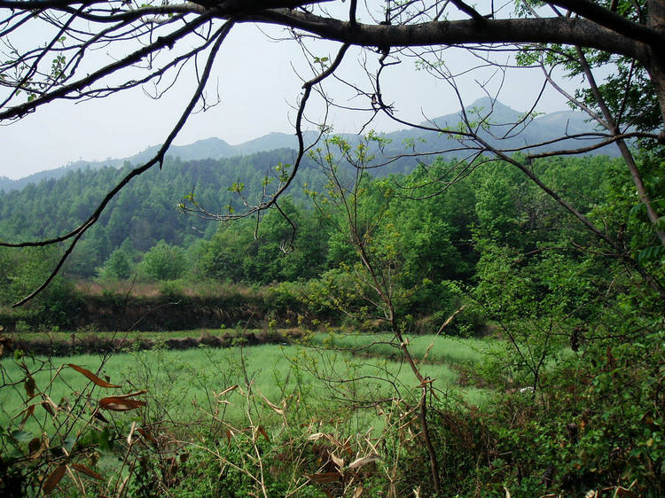 p1012655.jpg