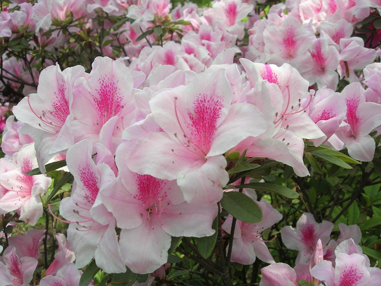 dscn2599.jpg