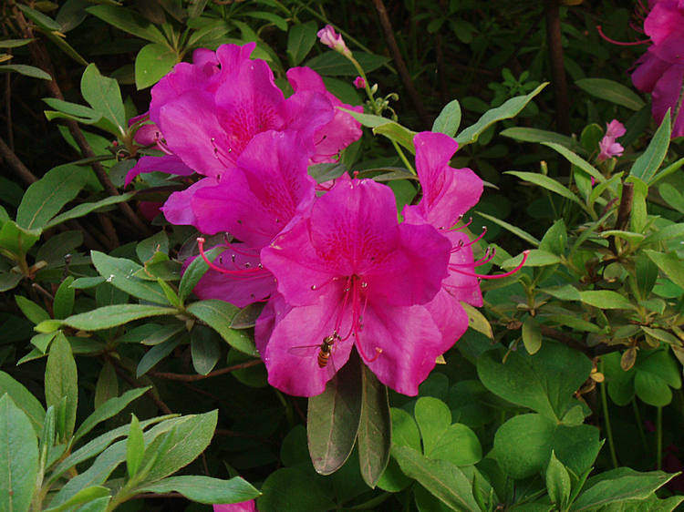 p1012877.jpg