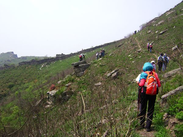 dsc08770-1.jpg