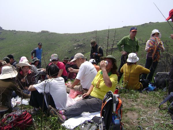 dsc08782-1.jpg