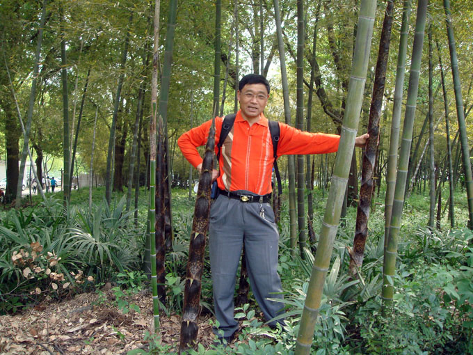 dsc03700.jpg