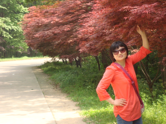 dsc01816.jpg