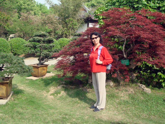 dsc03582.jpg