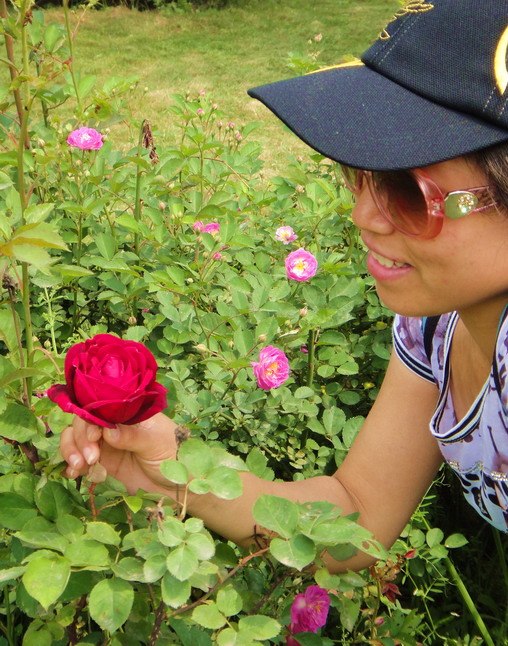 dsc07935.jpg