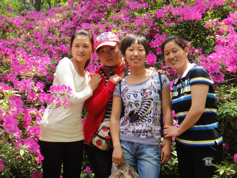 dsc07993.jpg