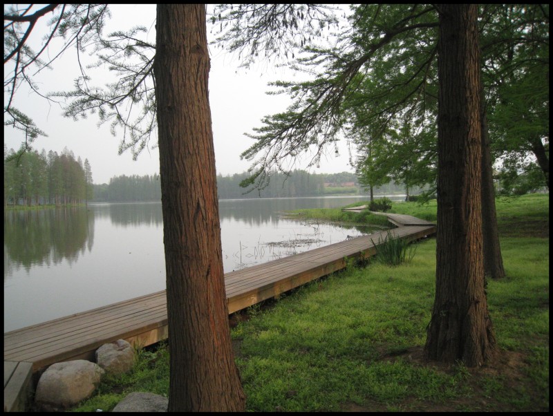 conew_img_5749.jpg