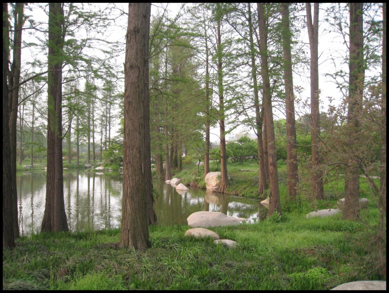 conew_img_5772.jpg