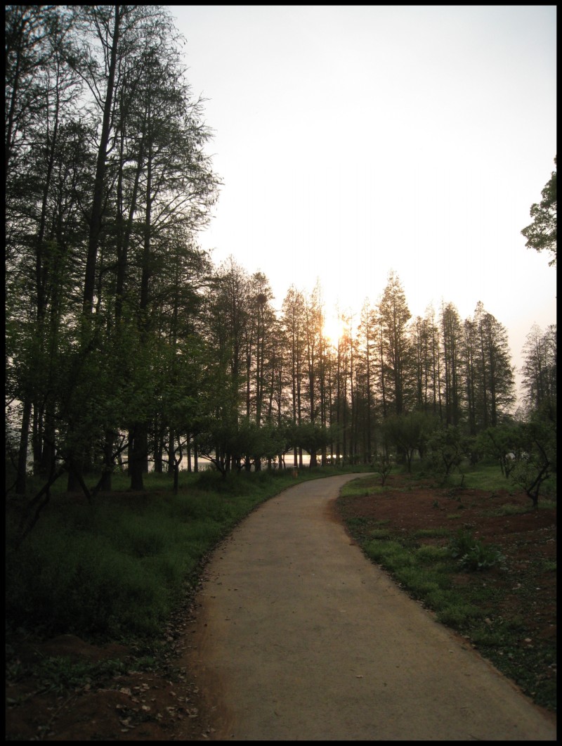conew_img_5777.jpg