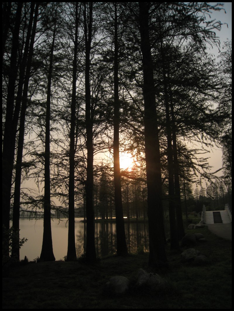 conew_img_5775.jpg