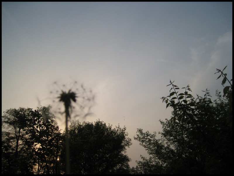 conew_img_5781.jpg