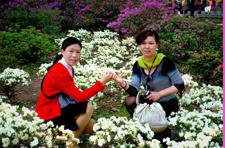 dsc_1033.jpg