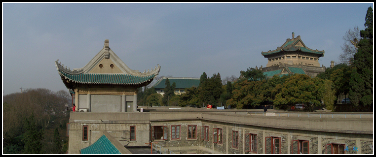 20110317eӣʨɽɽ (24).jpg