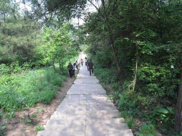 С Ƭ 021.jpg