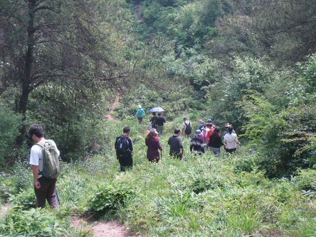 С Ƭ 048.jpg