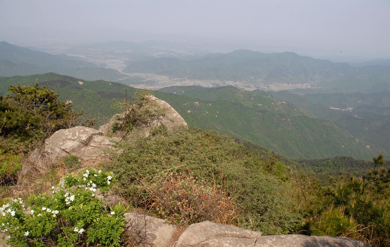 dsc_0107.jpg