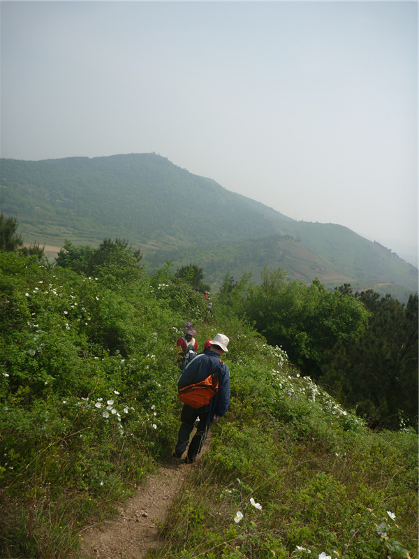 p1050732_.jpg