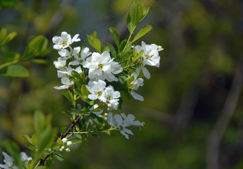 dsc_0058.jpg