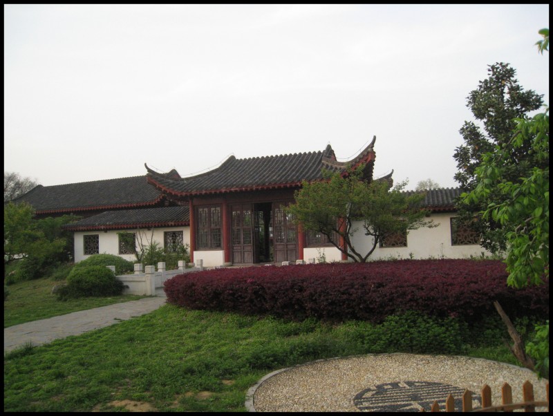 conew_img_5785.jpg