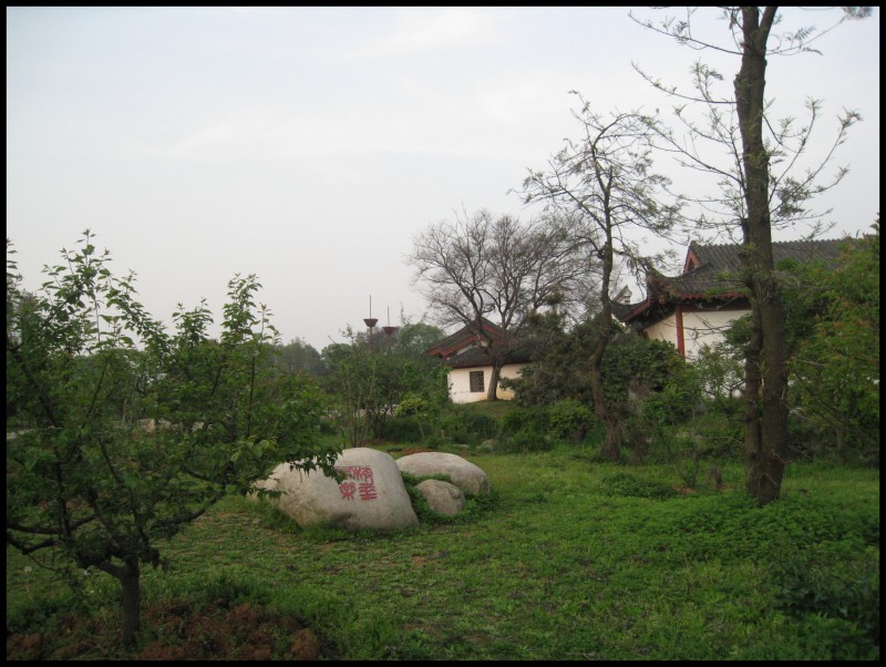 conew_img_5790.jpg
