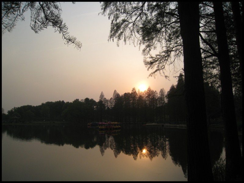 conew_img_5798.jpg