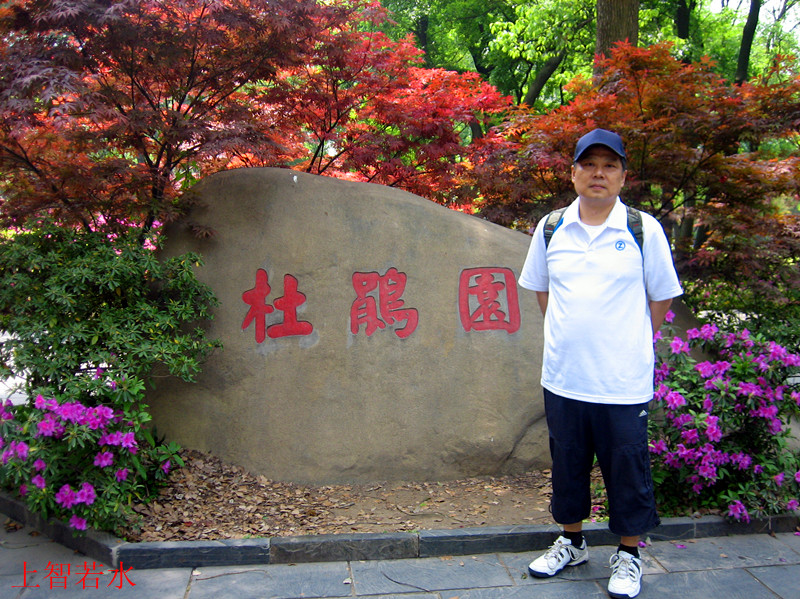 Ƭ 151_jp.jpg