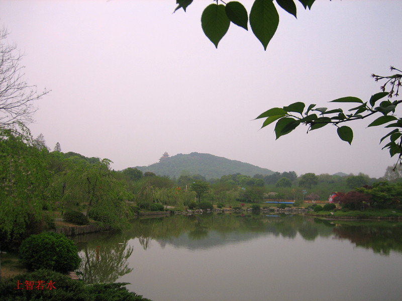 Ƭ 004_jpg.jpg