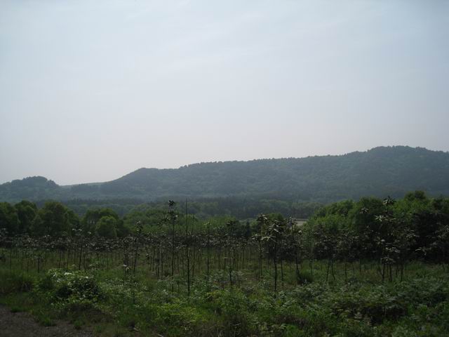 С Ƭ 076.jpg