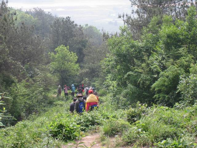 С Ƭ 040.jpg