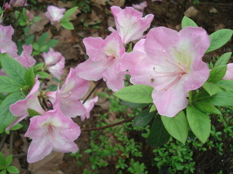 http_imgloadca512xx9.jpg