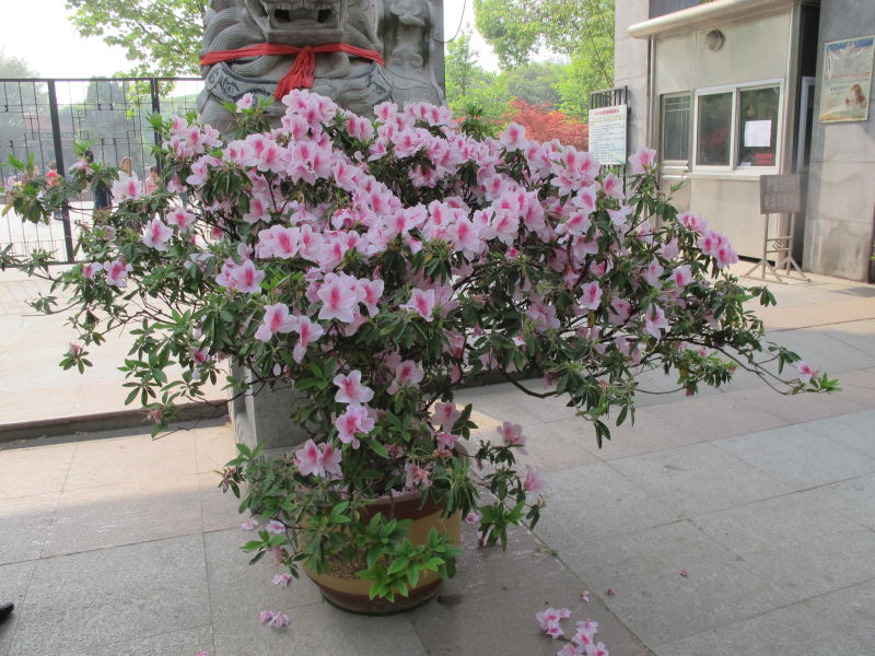 http_imgloadcau6g8oe.jpg