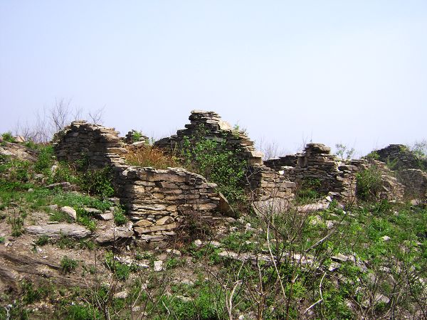 dsc08808-1.jpg