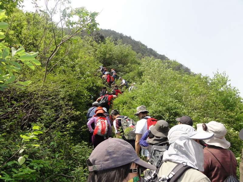 2011.04.24.01.jpg